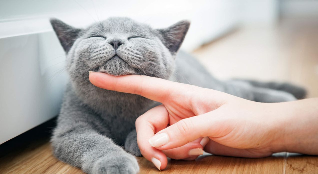 Employee satisfaction score: Metrics, analysis, and actionable insights for HR leaders in 2026