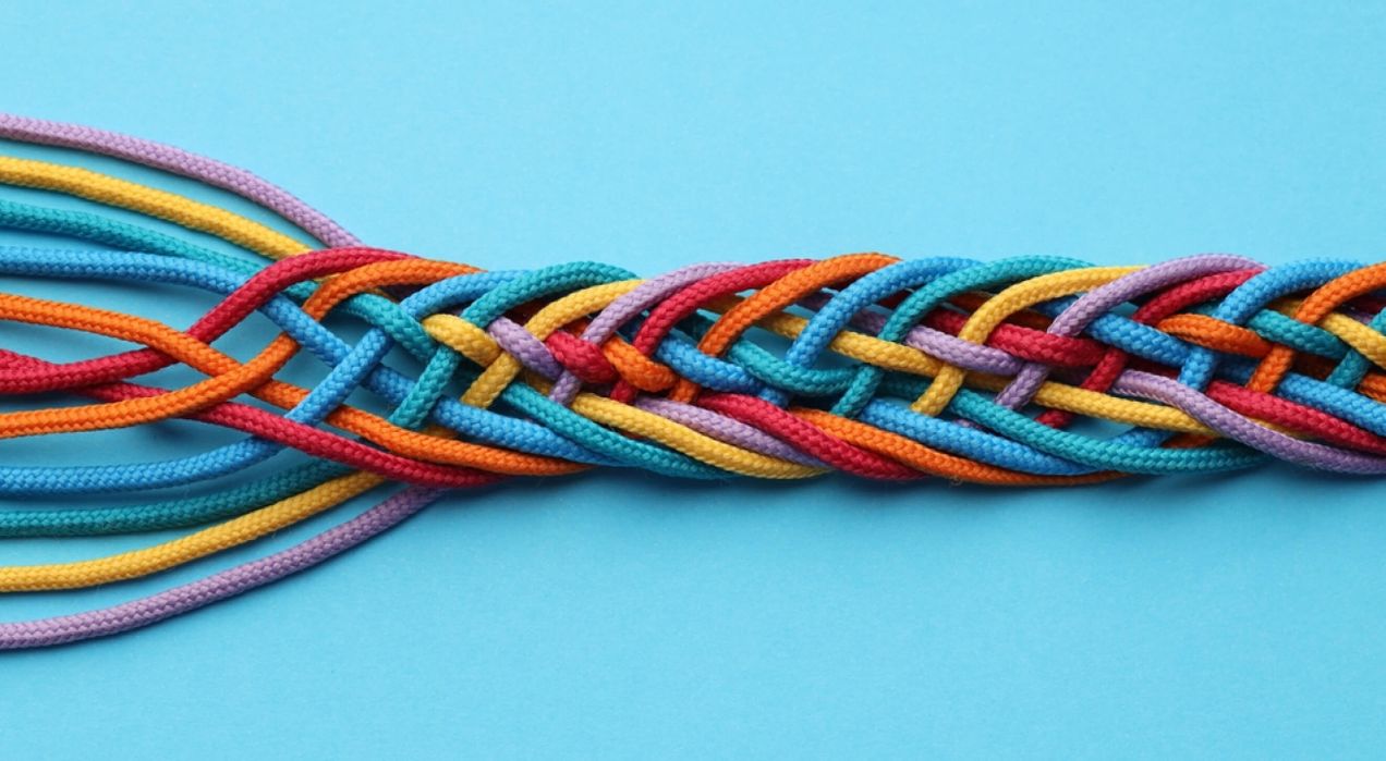 Team cohesion as a growth driver: How a unified team boosts results