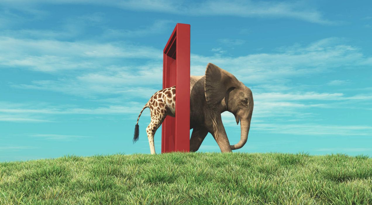 Employee engagement survey results & analysis: How HRs can make big impact in 2026